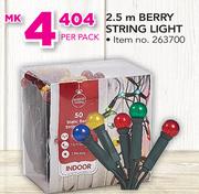 Santa's Trading 2.5m Berry String Light-Per Pack