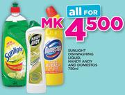Sunlight Dishwashing Liquid, Handy Andy And Domestos-750ml