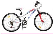 Raleigh 20" MXR FS