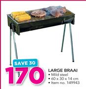 Out And About Large Braai