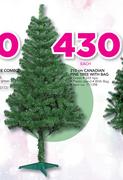 210cm Canadian Pine Tree With Bag-Each