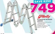 Gravity Aluminium Wonder Ladder