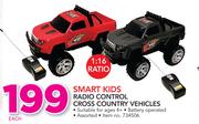 Smart Kids Radio Control Cross Country Vehicles-Each