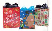 3 Pack Medium Gift Bags-Per Pack