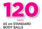 Trojan 65cm Standard Body Balls-Each