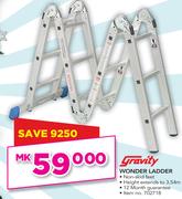 Gravity Wonder Ladder
