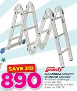 Aluminium Gravity Wonder Ladder