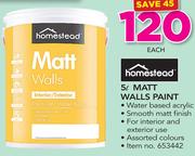Homestead 5Ltr Matt Walls Paint