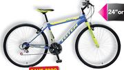 ToTem 20" MXR FS Bike