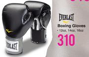 Everlast Boxing Gloves