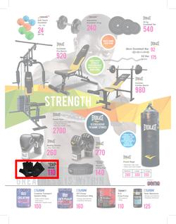 Game Botswana : Get Ready To Gear Up (17 Oct - 13 Nov 2016), page 4