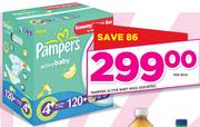 Pampers Active Baby Maxi Assorted-Per Box