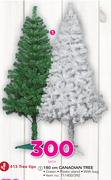 180cm Canadian Tree With 413 Tree Tips-Each
