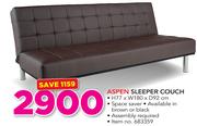 Aspen Sleeper Couch