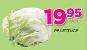 PP Lettuce-Each