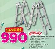 Gravity Wonder Aluminium Ladder