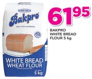 Bakpro White Bread Flour-5Kg