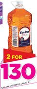 Savlon Antiseptic Liquid-2x2Ltr