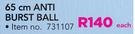 Everlast 65Cm Anti Burst Ball-Each
