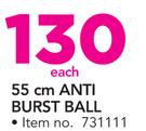 Everlast 55Cm Anti Burst Ball-Each