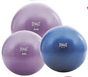 Everlast 65Cm Anti Burst Ball-Each