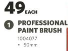 Professional Paint Brush 50mm-Each