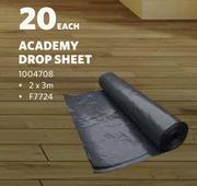 Academy Drop Sheet-2 x 3m Each