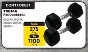 Trojan Hex Dumbbells (5Kg To 20Kg)-Each