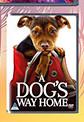 A Dog's Way Home DVD-Each
