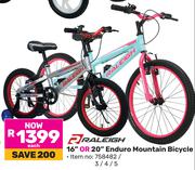 Raleigh 16" Or 20" Enduro Mountain Bicycle-Each