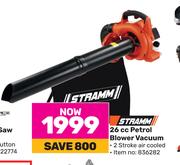 Steamm 26cc Petrol Blower Vacuum