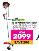 Trimtech 43cc Petrol Brush Cutter