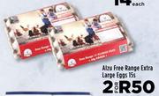 Alzu Free Range Extra Large Eggs-For 2 x 15's