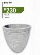 Small Leaf Pot