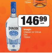 Imagin Classic Or Citrus Gin-750ml Each