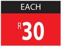 Ryobi Building Line RBL-100-Each