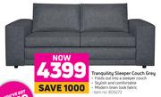 Tranquility Sleeper Couch Grey