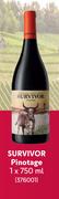 Survivor Pinotage-750ml Each