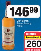 Olof Bergh Solera Brandy-750ml