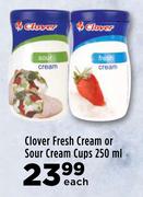 Clover Fresh Cream Or Sour Cream Cups-250ml Each