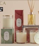 Circa Liquid Diffuser-250ml Plus 5 x Jasmine & Magnolia Scent Stems-Per Set