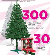 180cm Canadian Pine Tree-Each