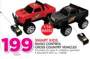 Smart Kids Radio Control Cross Country Vehicles-Each