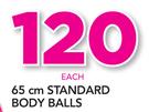 Trojan 65cm Standard Body Balls-Each