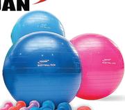 Trojan 65cm Standard Body Balls-Each