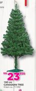 180cm Canadian Tree