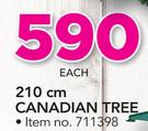 Santa's Trading 210Cm Canadian Tree
