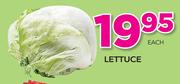 Lettuce-Each