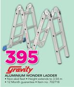 Gravity Aluminium Wonder Ladder