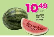 Watermelon Large-Each